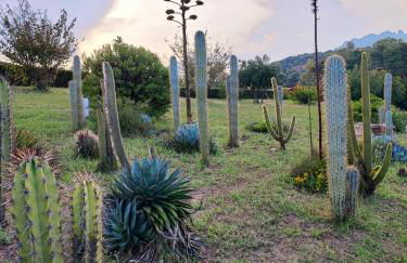 Abba Sixty - View, Pool & Parking - 200mt Sea - Foto 26