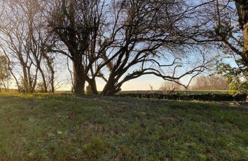 Ma Petite Maison dans la Prairie 25 minutes Zoo Beauval - Photo 17