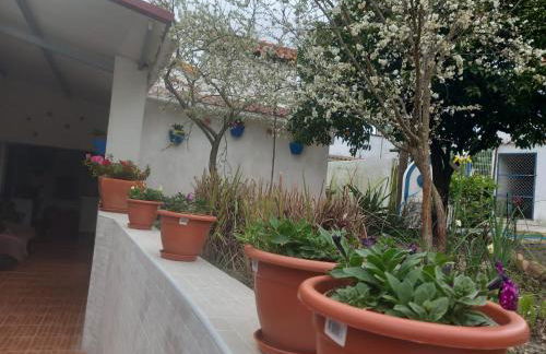 CASA DA ALDEIA - Ponte de Sor (Alentejo) - Foto 17