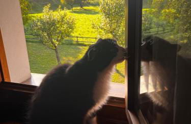 Casa Francesca - Foto 9