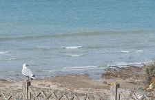 LE CISE EAU À bois - Foto 32