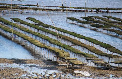 Le Gîte de l'Amer - T2 - Duplex - Centre Bourg - Photo 29