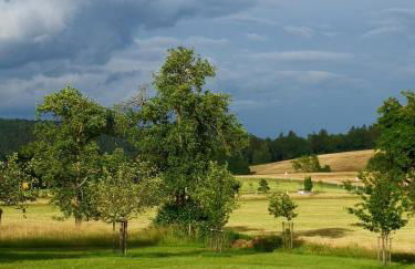 Mooi ruim appartement in antieke stadsboerderij - Foto 29