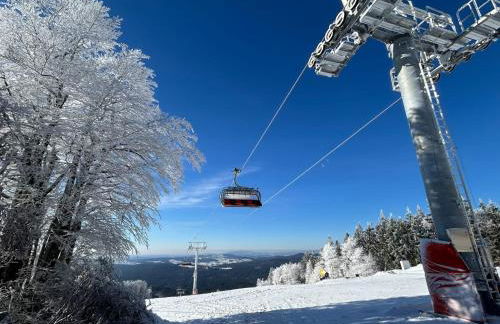 Aotearoa - Mountain apartment in Bavaria, Mitterdorf - Mitterfirmiansreut - Foto 4