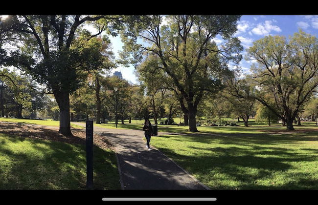 Park view on the City Fringe - Foto 21