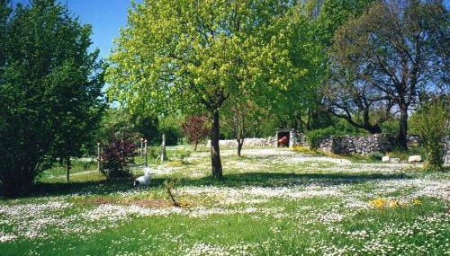 Gîte l'Odonata - Foto 2, Garden