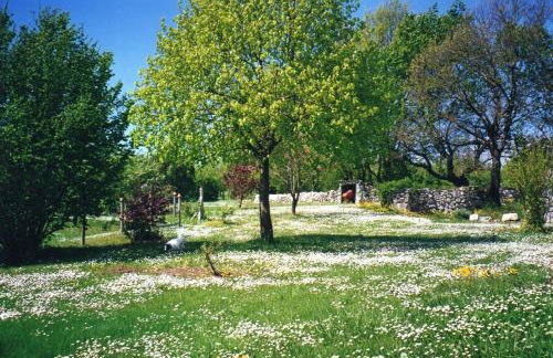 Gîte l'Odonata - Foto 2