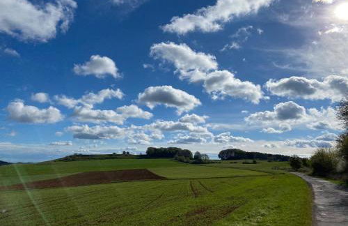 Holzhaus Onkel Fritz mit Sauna und Whirlwanne - Foto 15