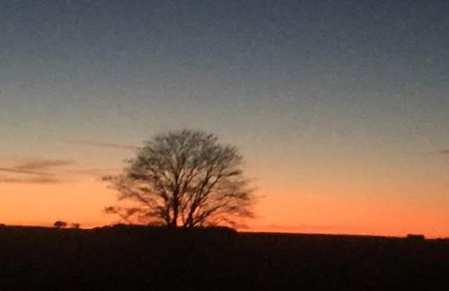 Cottage in the Countryside Near New Quay West Wales - Photo 14