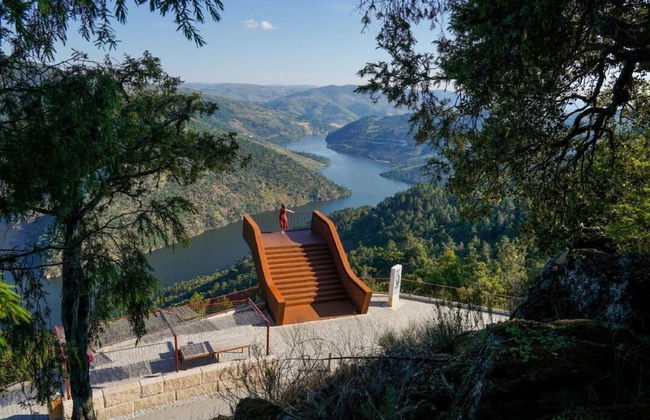 Quinta Vila Rachel - Photo 31