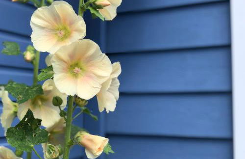 Blaue Pause - Hygge-Häuschen mit Garten und Kamin - Foto 15