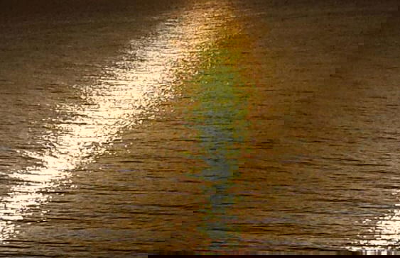 Sun Camero Apartments - Photo 27