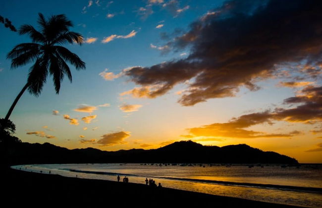 Impressively designed and decorated 3rd-floor space overlooking pool in Coco - Photo 52