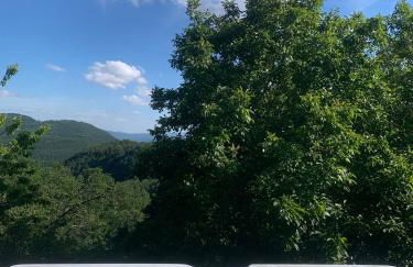 Palazzo 54 - Photo 35