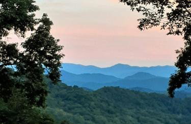 Treetops Cabin easy to Asheville with fast wifi and great view - Foto 30