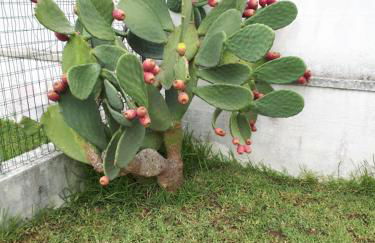 Villetta Lucia - Foto 6