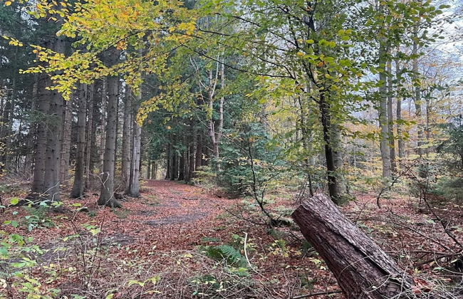 6 Person Holiday Home in Hornbaek - Photo 8