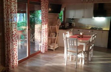 Domki nad Jeziorem Ołów - Foto 23