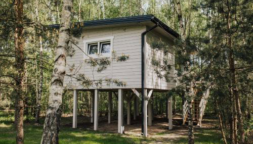Domek w drzewach w Siedlisku Polanka - Foto 3