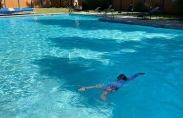 Alpine Escape: Tahoe Oasis Steps from Lake - Foto 33