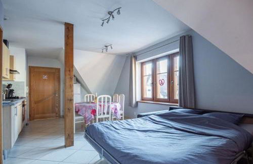 Gîtes Goettelmann Didier - Foto 13