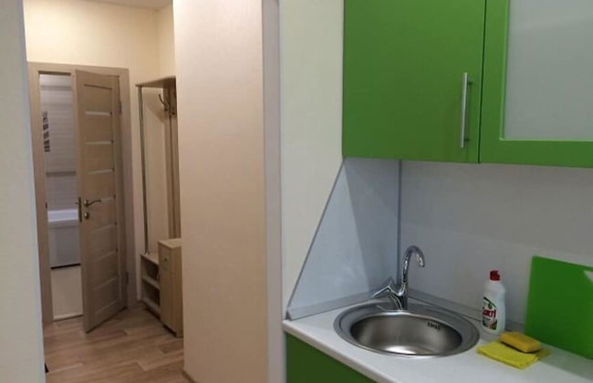 Apartment on Geologorazvedchikov 44a - Photo 14