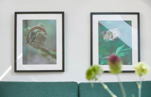 Glücksferien- Gänseblümchen - Foto 13