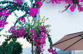 Haraki Mare Studios beach front - Foto 69