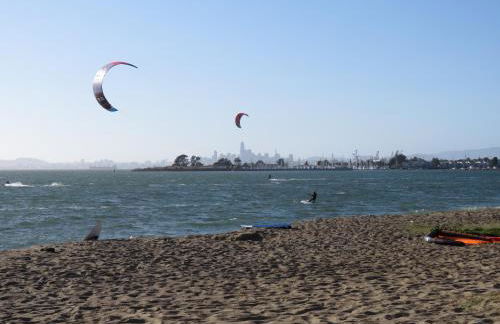 Garden Level Flat in 1885 Queen Anne Victorian Cottage in Alameda - Foto 51