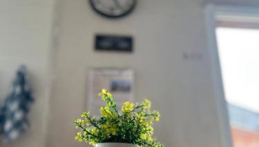 Casa COM AR CONDICIONADO próximo ao Beto Carrero e Praias - Foto 2