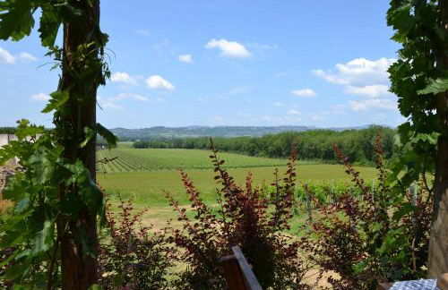 Agriturismo Poggio alle Vigne - Foto 43