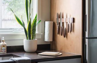 Pulaski Point Properties - Foto 61