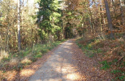 Ferienhaus Bayern Chalet 22 - Photo 16