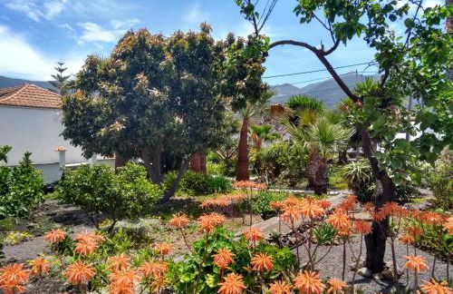 Finca Primavera - Foto 22