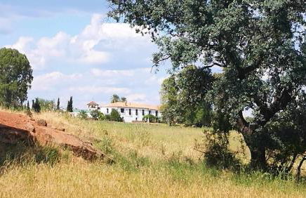 Finca el Vizconde - Naturaleza con tus hijos - Foto 33