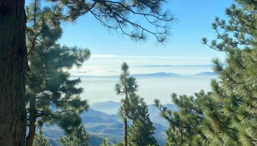 The Inspo Cabin with Stunning View - Foto 5