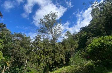 Linda casa em Mury,com riacho e lareira - Foto 42