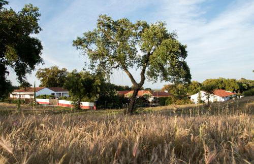 Herdade das Barradas da Serra - Foto 47