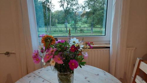 Ferienappartement im Waldhaus Göhrde - Foto 5