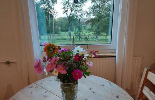 Ferienappartement im Waldhaus Göhrde - Foto 5