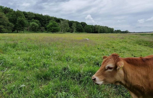 Tranquil Retreat at Tuse NA S-by Traum - Foto 16