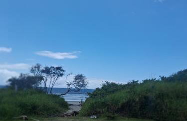 Casa da A'LICE - Photo 17