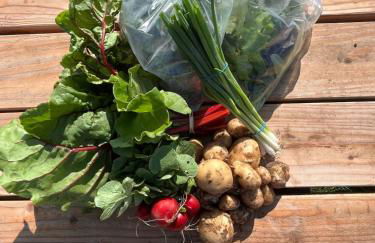 Tiny home on an organic croft, Isle of Arran - Photo 10