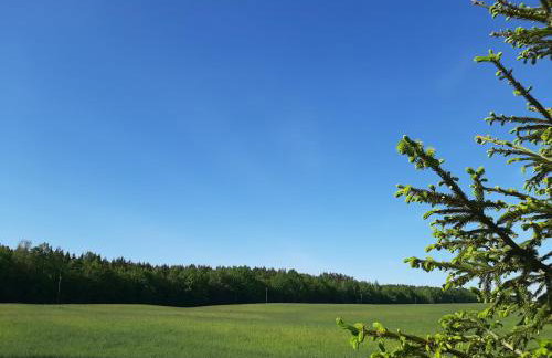 GREEN HOUSE - Foto 50