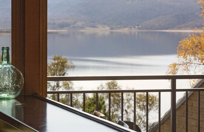 Grey Kangaroo- On Lake Jindabyne foreshore - Foto 24