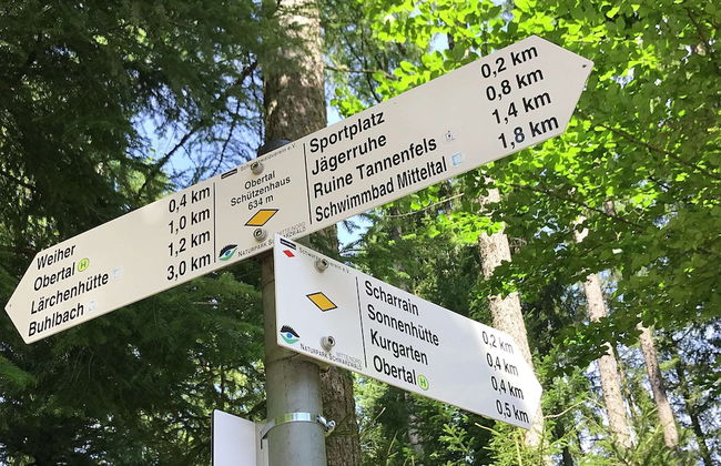 Comfortable Apartment in Baiersbronn With Balcony - Foto 12