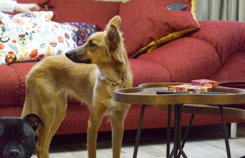 Le Grand Petit Prince - Domaine de Charme - Jacuzzis privatifs - Foto 23