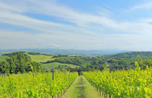 Relaxing Retreat in Le Marche - Photo 31