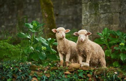 Épicos House, Your home away from home. - Foto 24