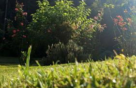 Recanto da Floresta - Photo 6